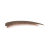 3607344535044_2.png